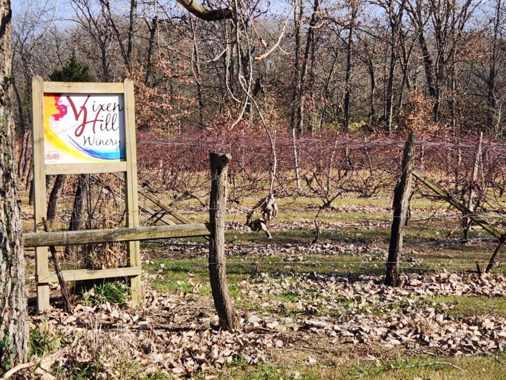 Vixen Hill Winery Sign & Vineyard
