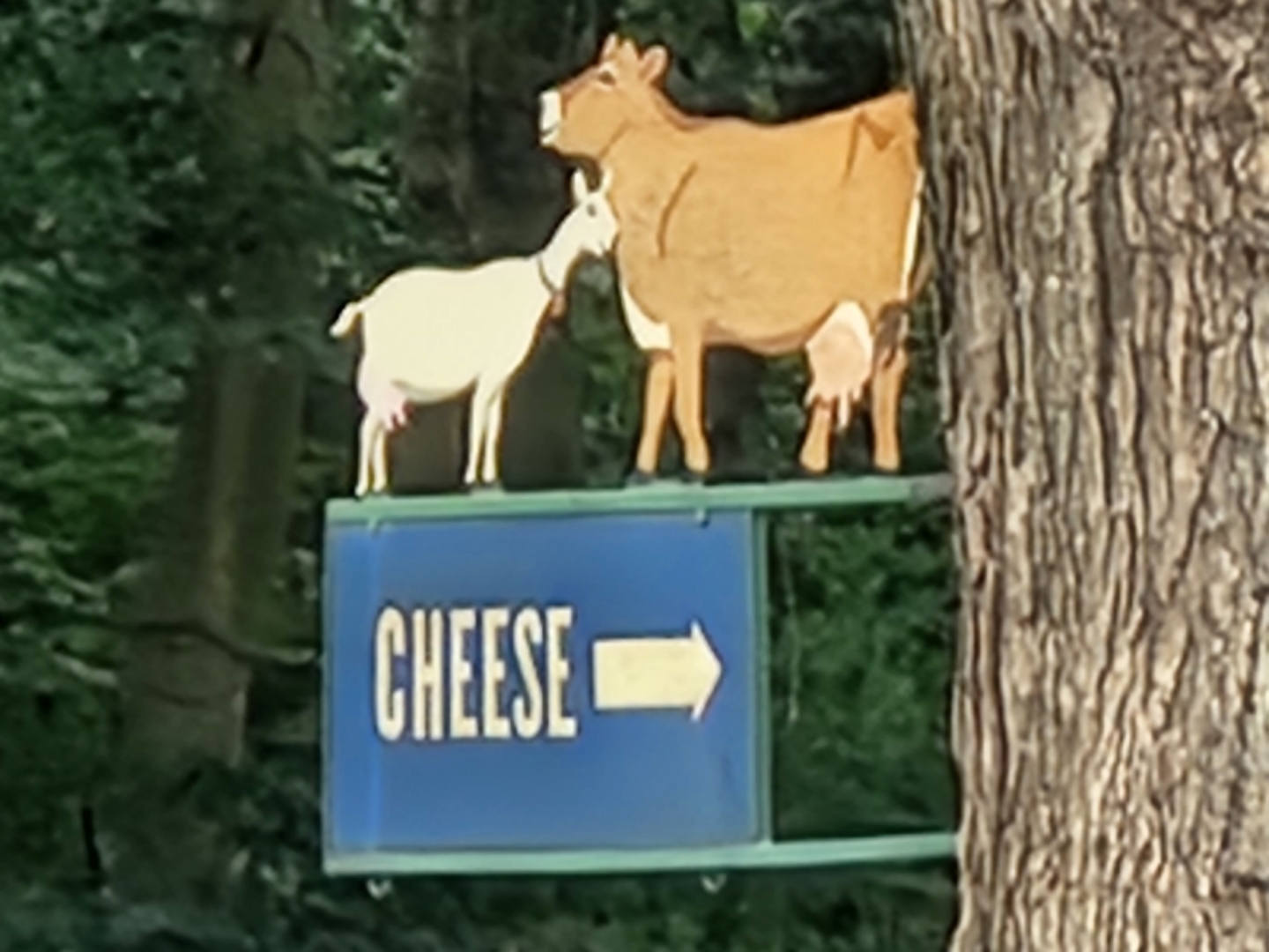 Evergreen Lane Creamery Cheese Sign
