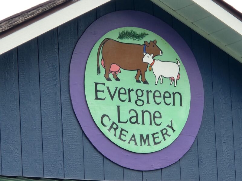 Evergreen Lane Creamery