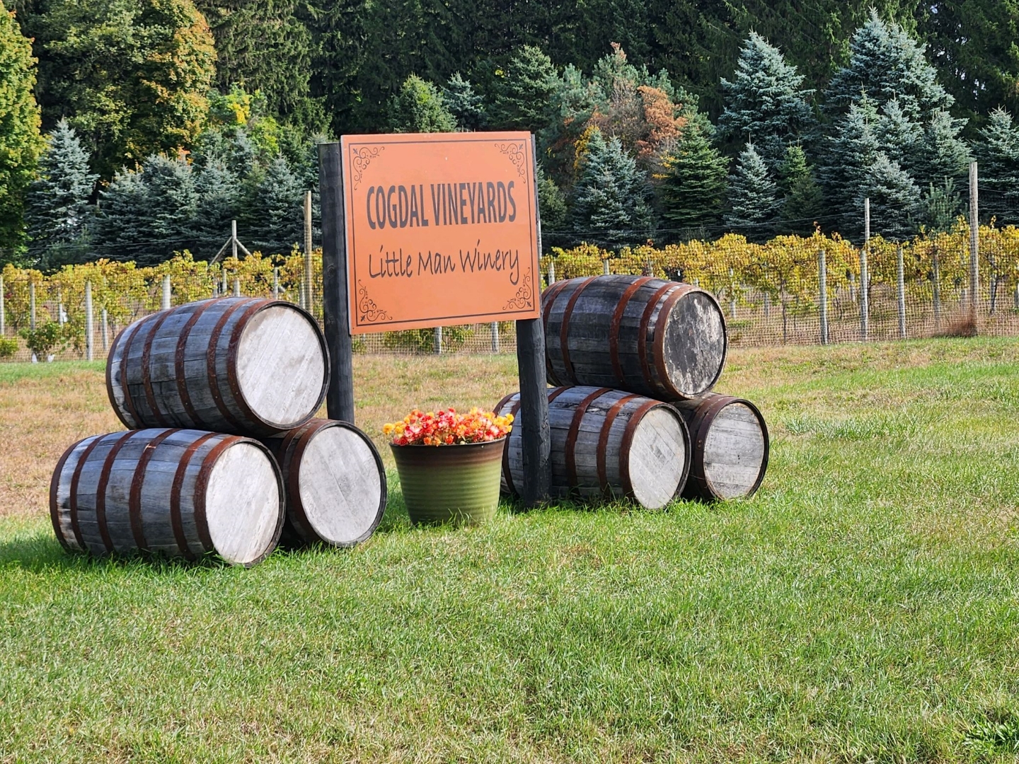 Cogdal Vineyards Sign